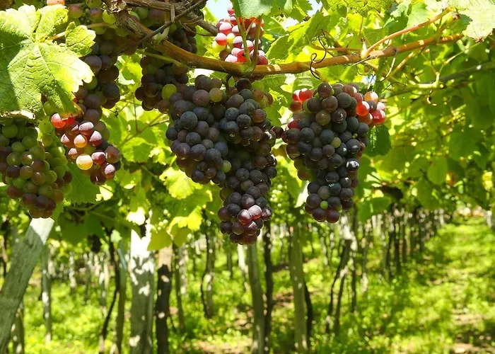 Дом отдыха Etxeberria *