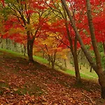 Etxeberria Casa vacanze Zarautz